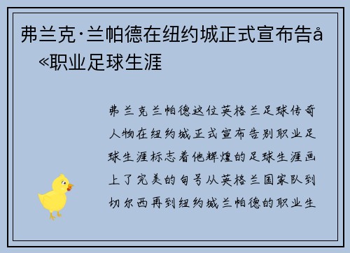 弗兰克·兰帕德在纽约城正式宣布告别职业足球生涯