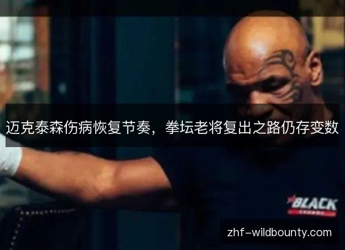 迈克泰森伤病恢复节奏，拳坛老将复出之路仍存变数